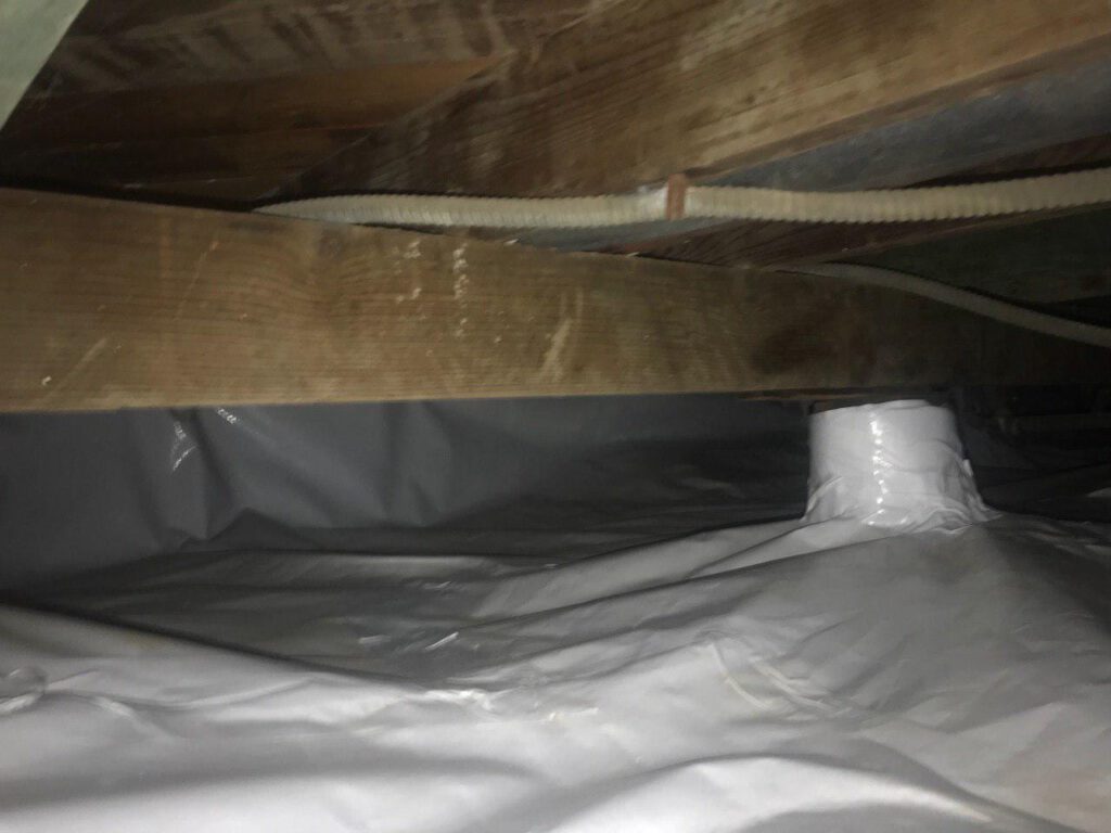Attic Clean Up & Moisture Barrier Installation in Sherman Oaks
