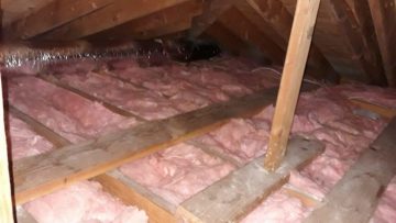 Attic Clean Up and Insulation Replacement in Redondo Beach, CA