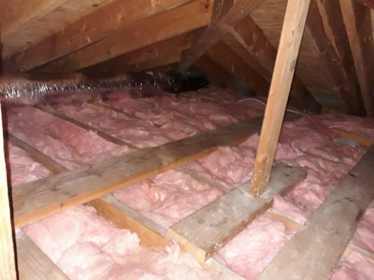 attic-insullation-protects-attic-from-elements