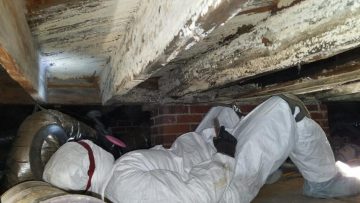 Crawl Space Cleaning Services in the Bay Area