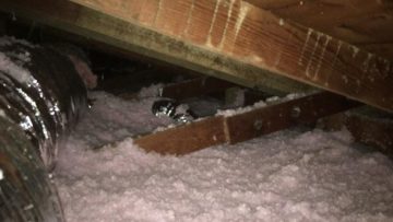 Attic Blown-In Insulation Installation in Woodland Hills, CA
