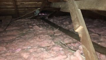 Attic Clean Up & Insulation Installation in Long Beach, CA