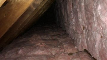 Attic Insulation Replacement and Rodent Proofing in Cedar Grove, NJ