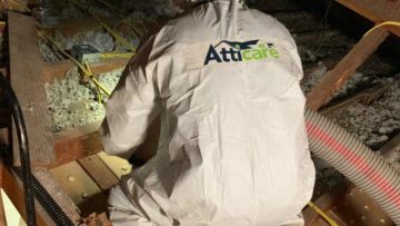 Attic Clean Up and Insulation Installation in Redondo Beach, CA
