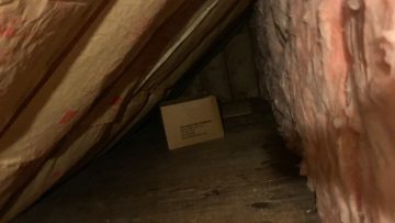 Attic Insulation Replacement and Rodent Proofing in Plainfield, NJ