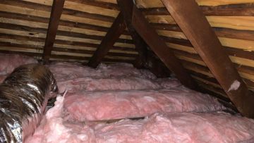 Attic Insulation Replacement and Rodent Proofing in South Orange, NJ