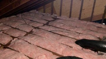Attic Insulation Replacement and Rodent Proofing in Ramsey, NJ