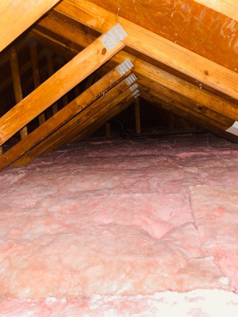 Attic Rodent Proofing and Insulation Replacement in Lincroft, NJ