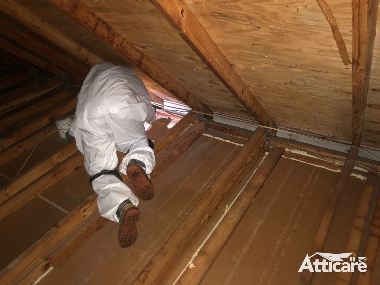 Atticare technician performing professional attic cleaning in Los Angeles