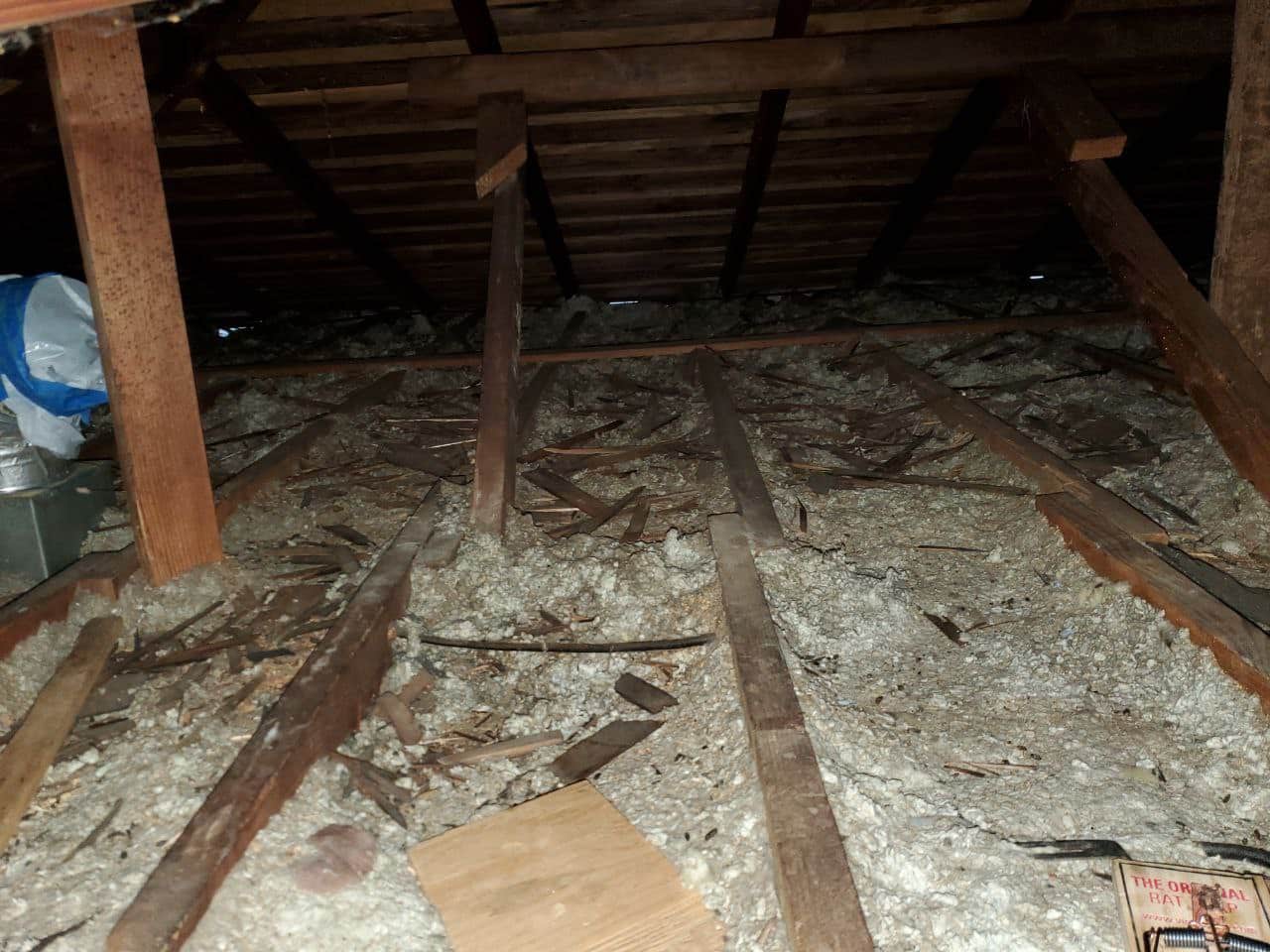 Shredded insulation and rodent evidence in attic requiring full remediation