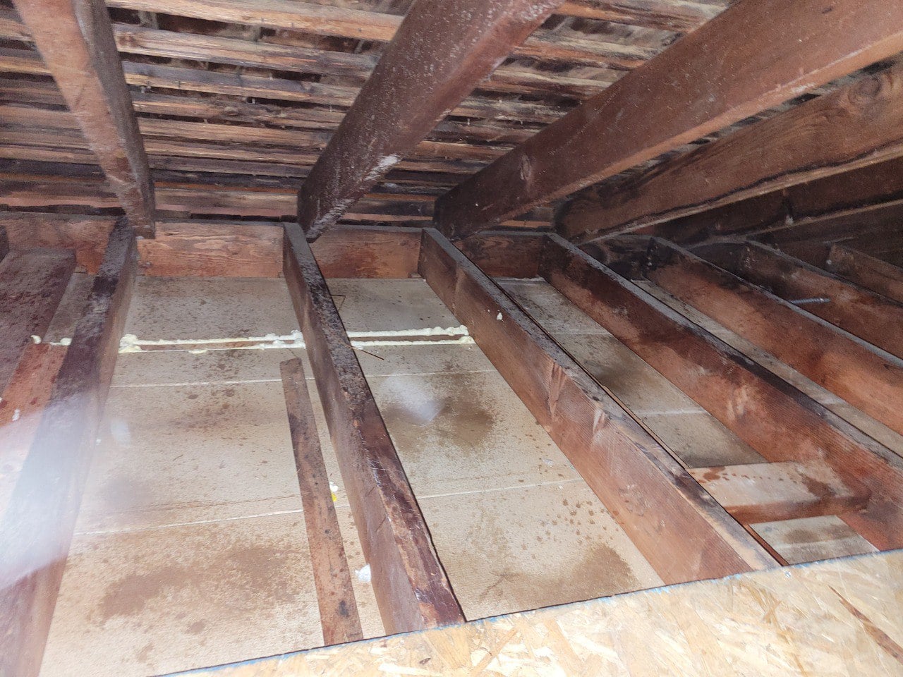 Bare attic interior with insulation removed, ready for sanitation and sealing