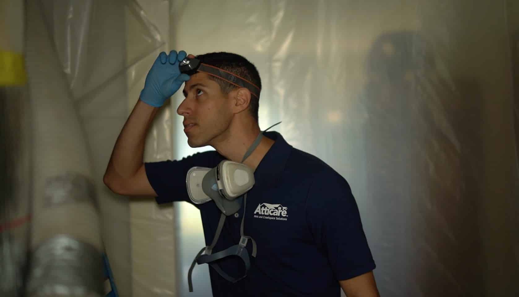 attic rodent cleanup San Francisco
