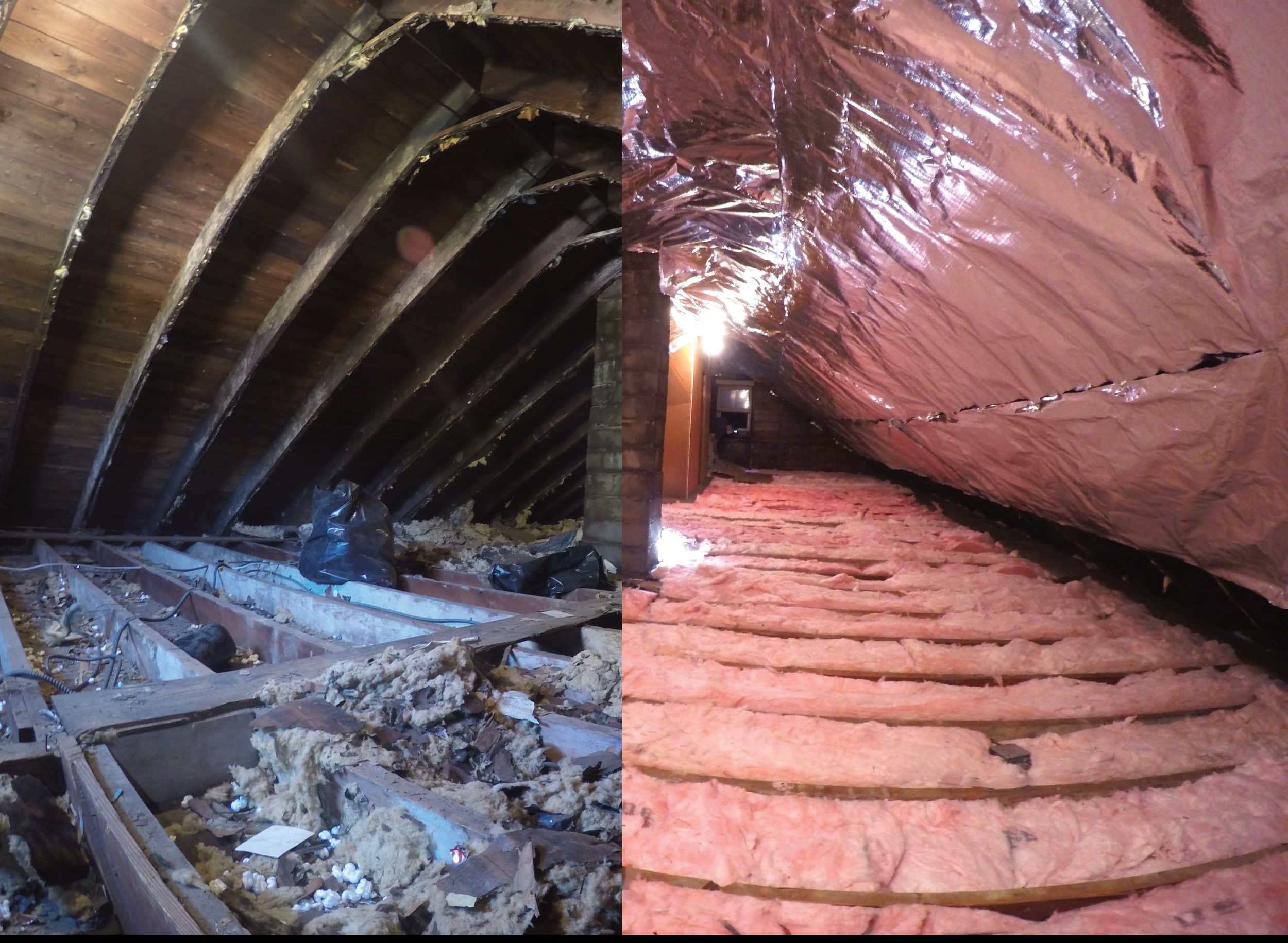Attic rodent cleanup San Francisco — before and after