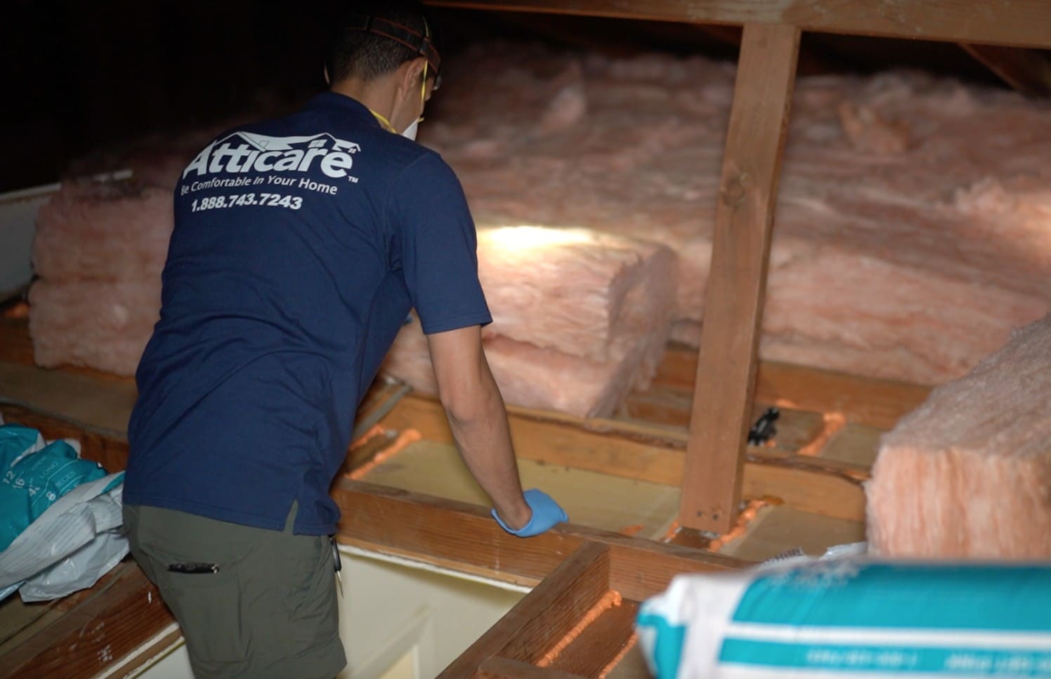 Oakland attic rodent cleanup