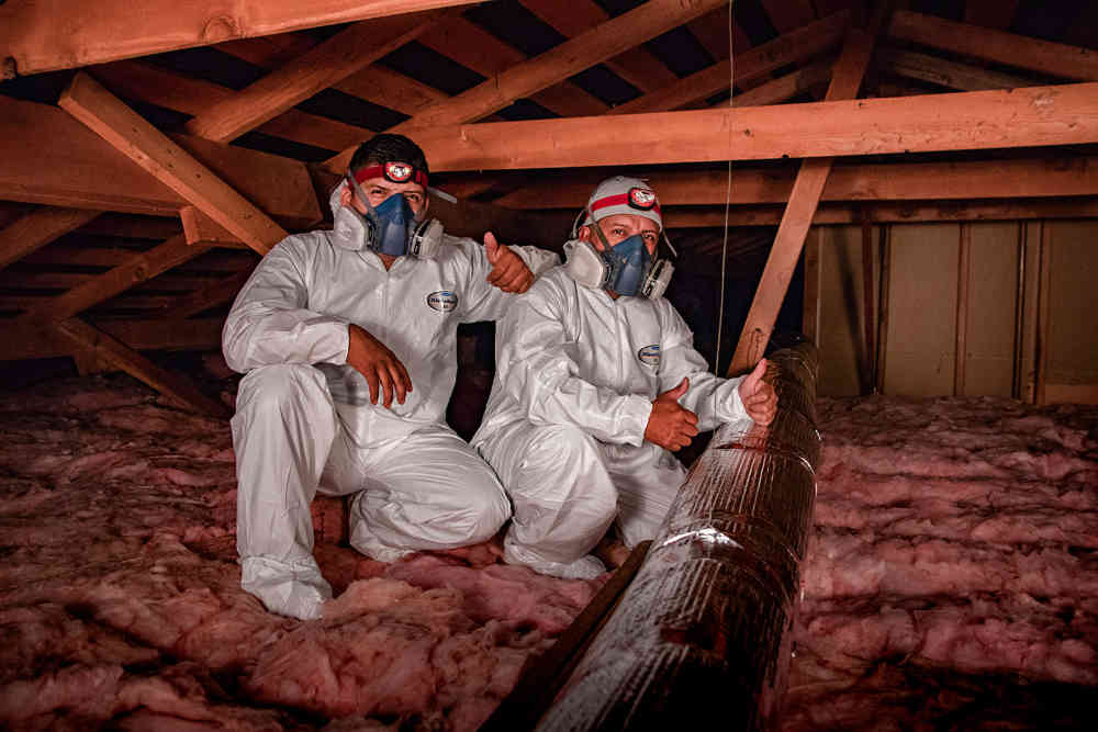 Oakland attic rodent cleanup technicians at work