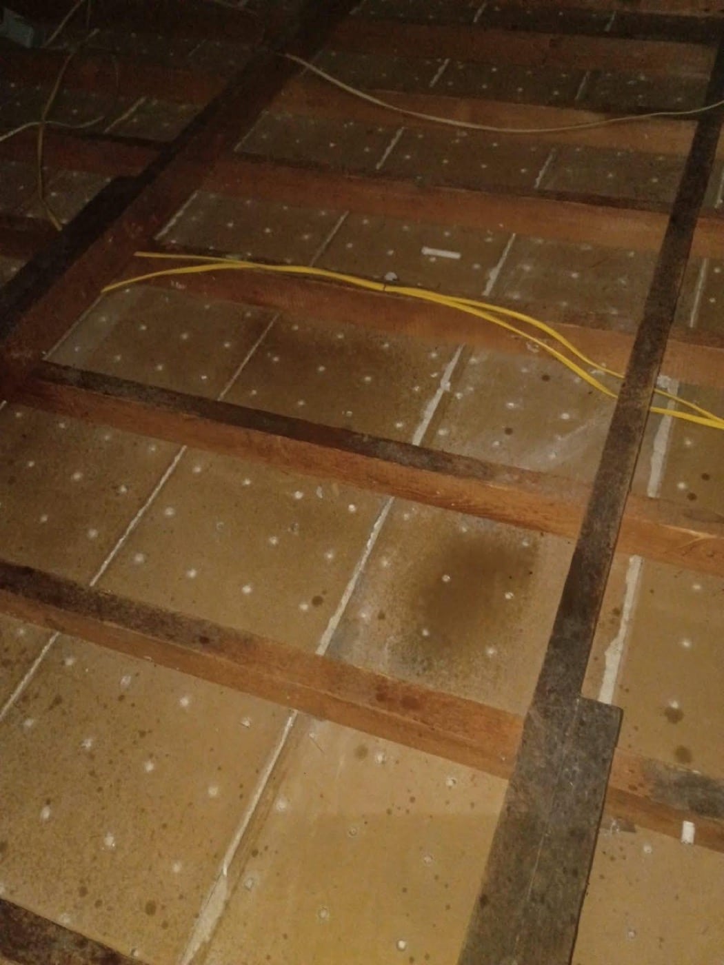 Wall penetration sealed with polyurethane foam during rodent proofing
