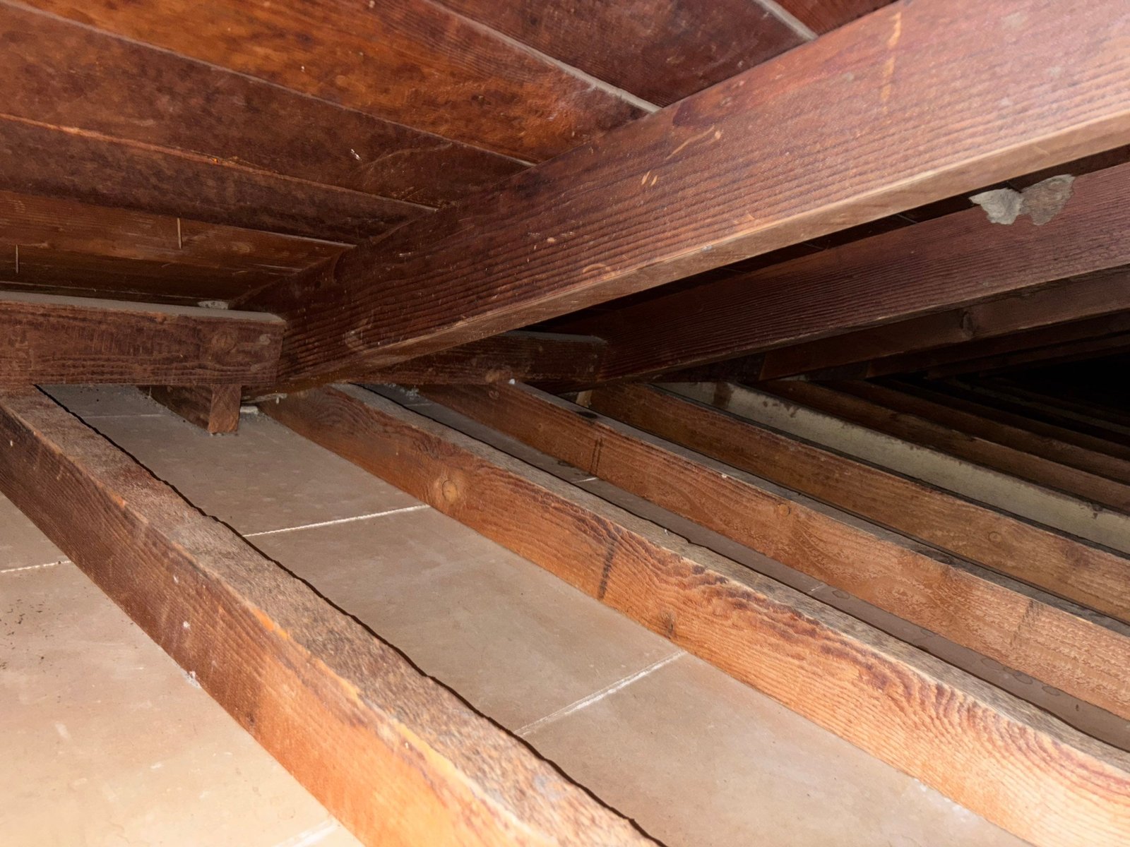 Agoura Hills attic after removal, joists and deck cleaned