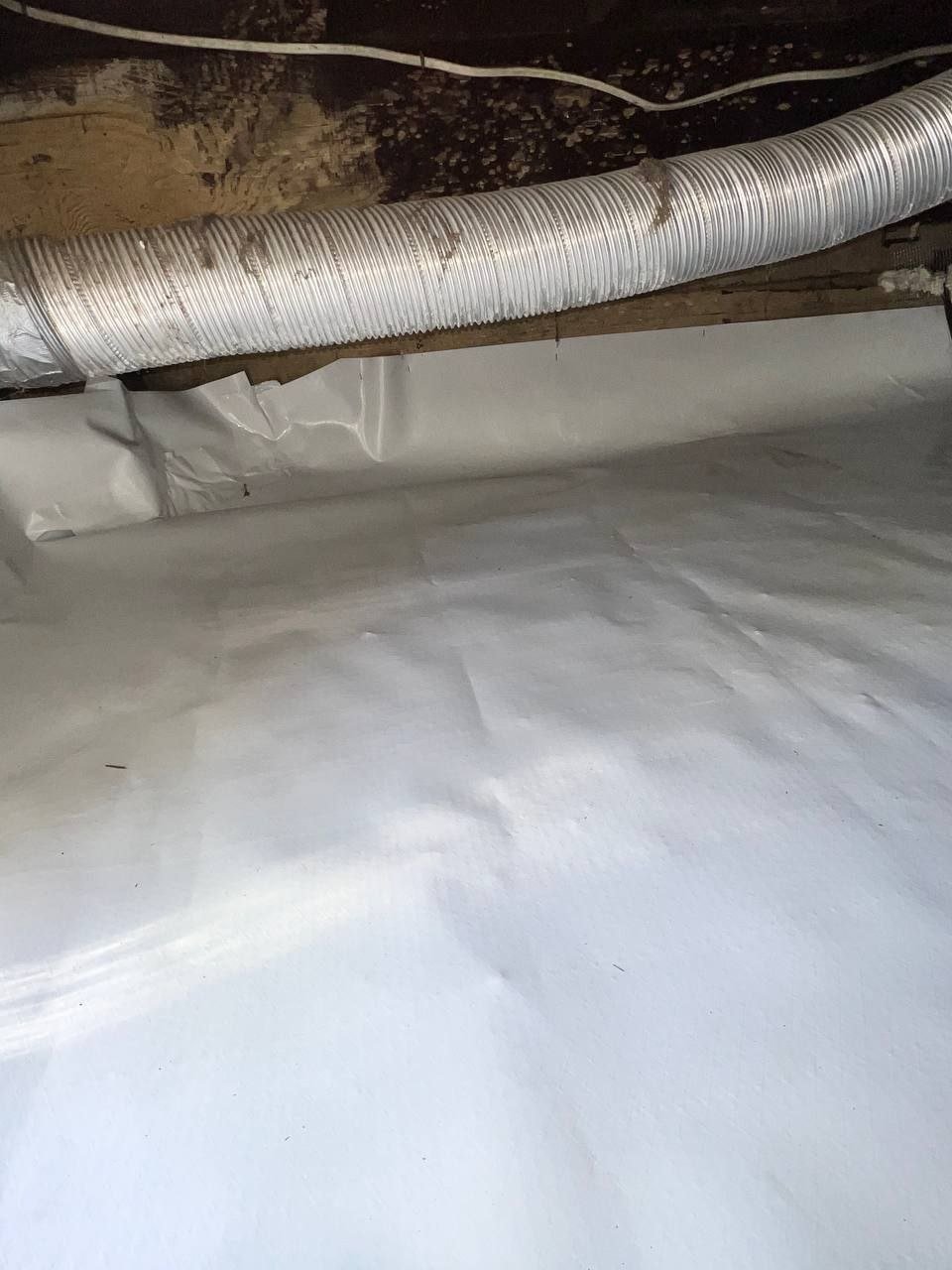 Alameda crawl space after the job, new vapor barrier over the soil