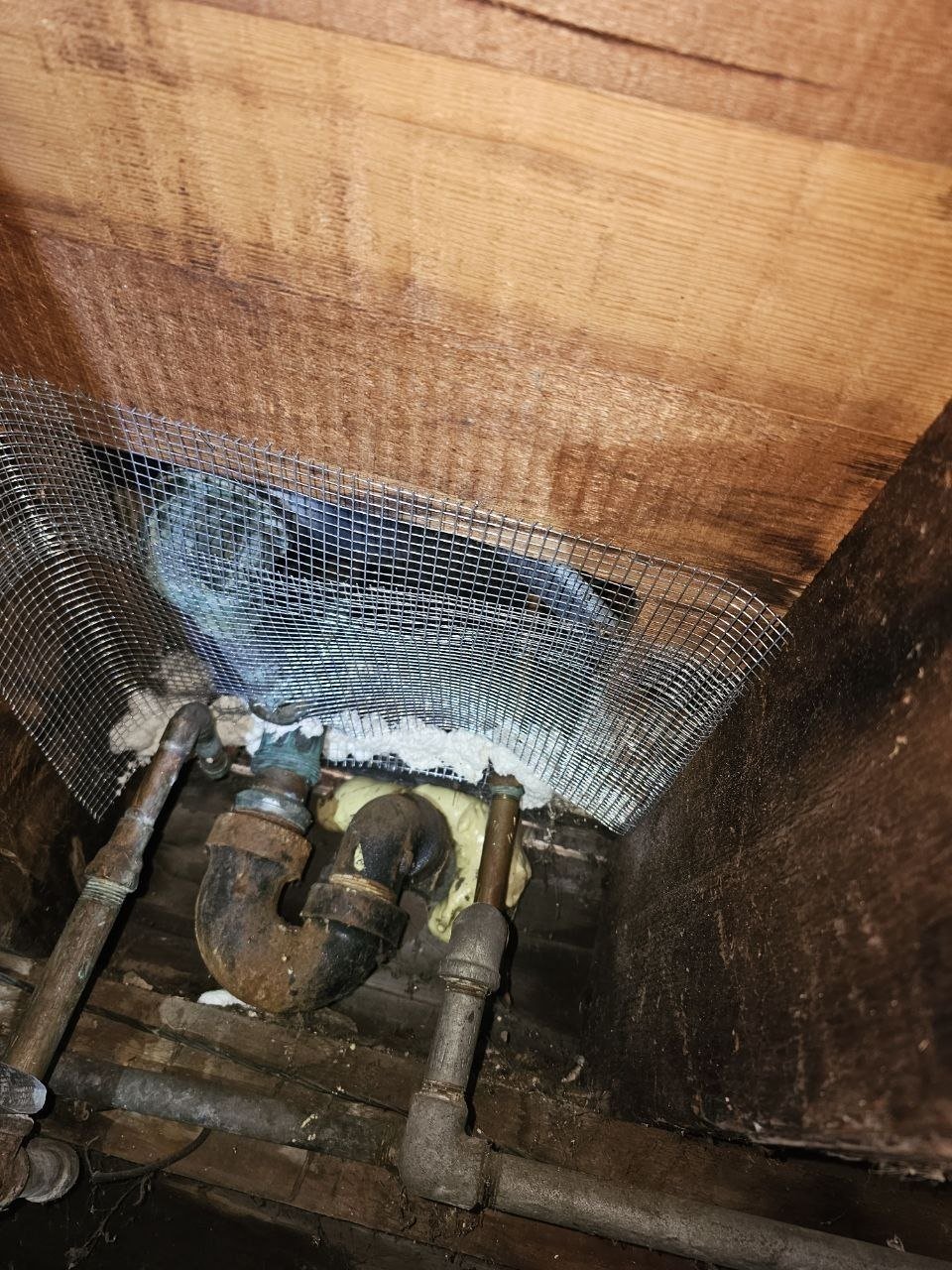 Wire mesh and foam sealing an attic opening in Alameda