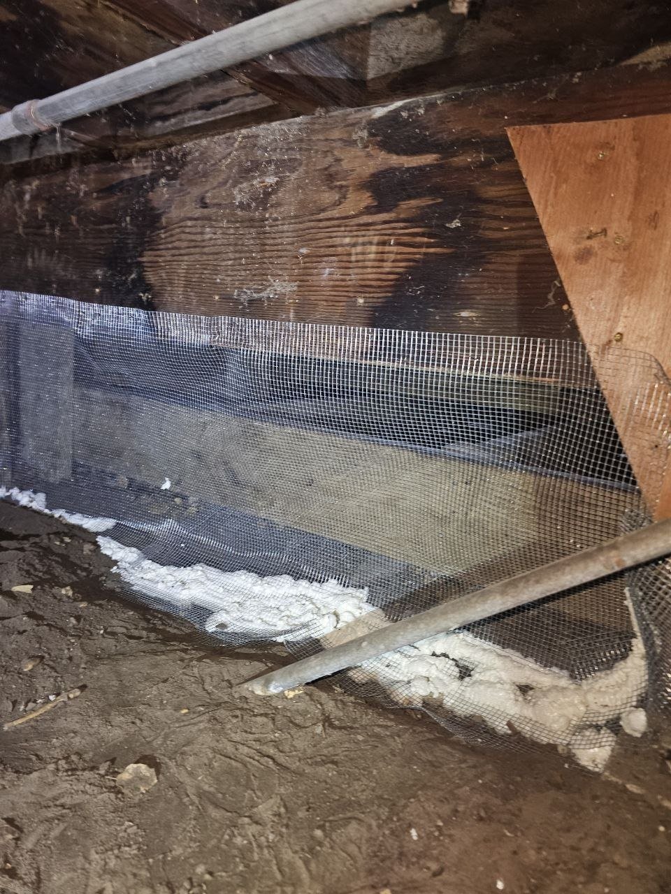 Wire mesh rodent proofing at an attic edge in Alameda
