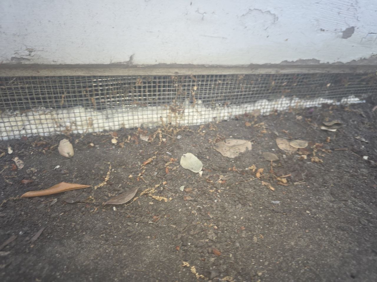 Screened attic vent opening in Alameda