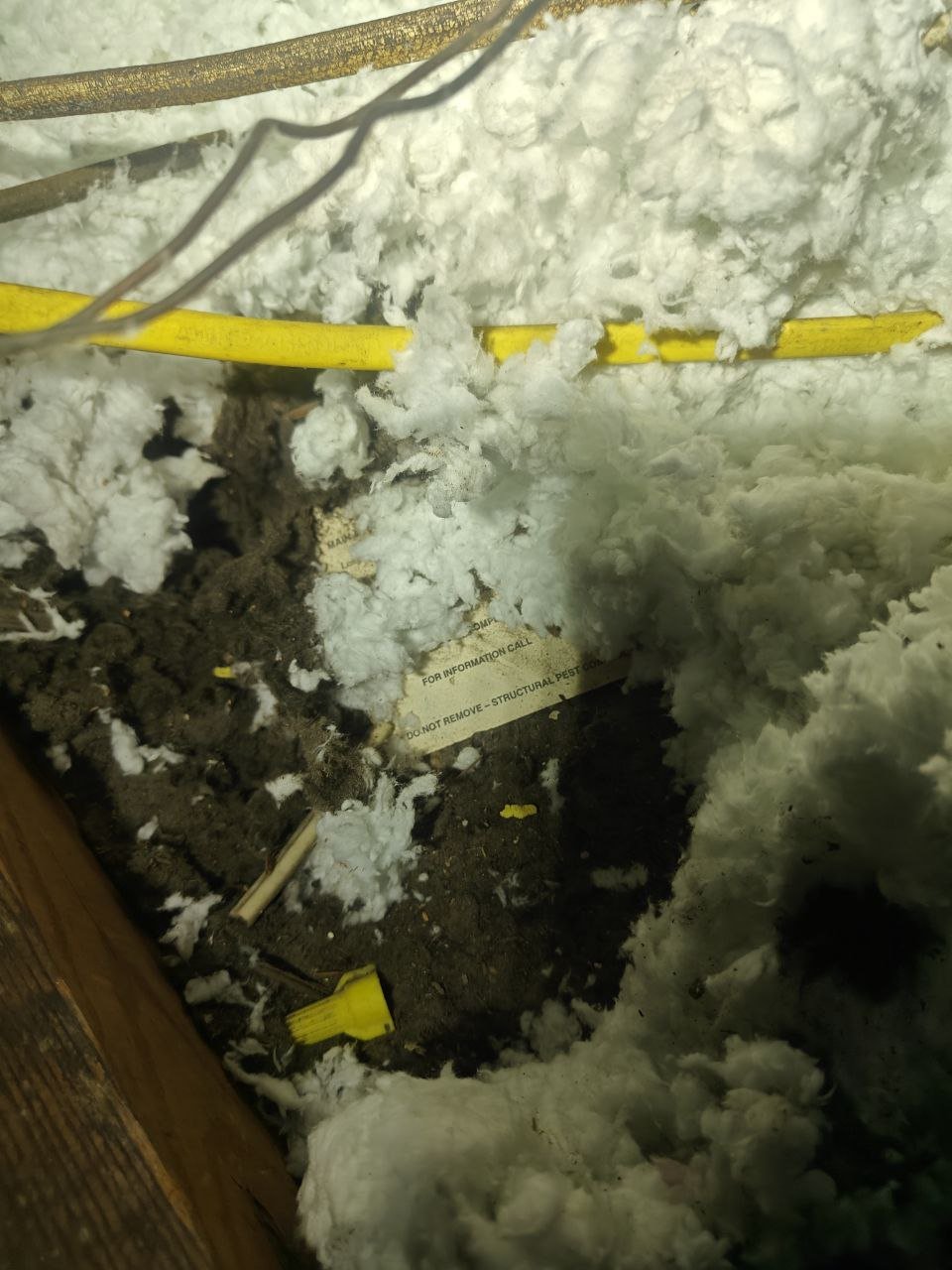 Debris in old loose-fill insulation in a Anaheim attic before work