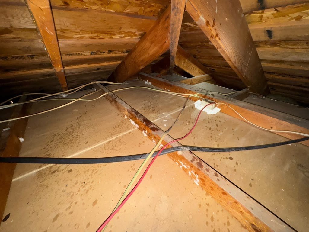 Anaheim attic after removal, joists and deck cleaned