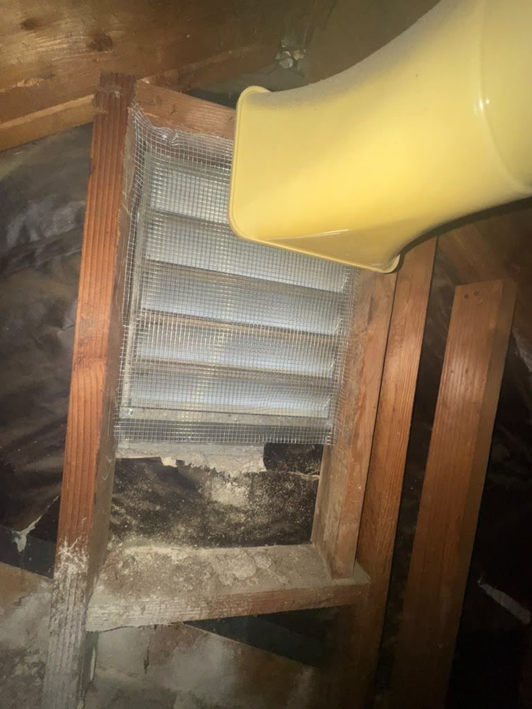 Attic vent screened with wire mesh in Anaheim