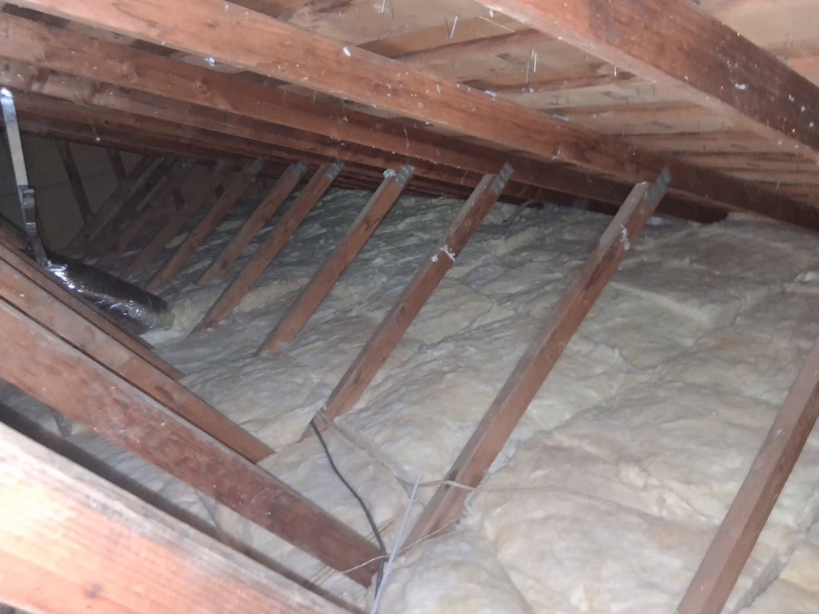 Westminster attic during sealing and rodent proofing
