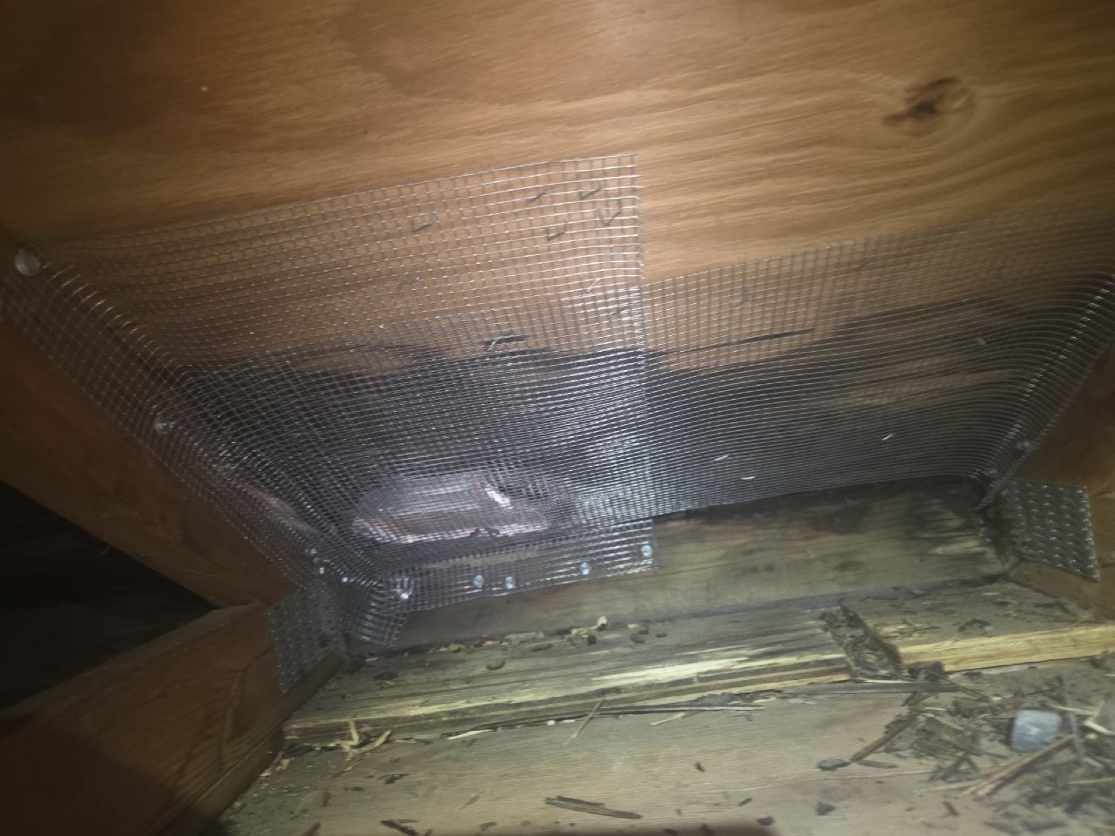 Completed Walnut Creek attic and crawl space