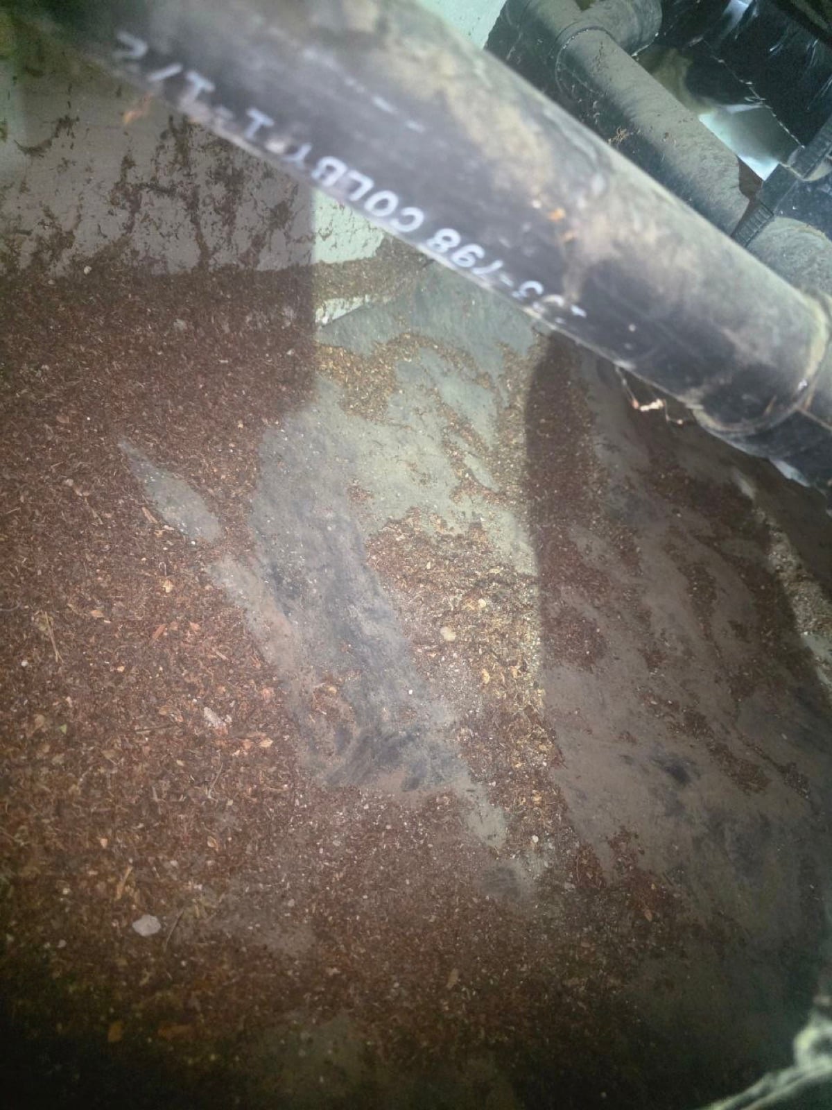 Walnut Creek attic and crawl space before work — detail of the condition on arrival