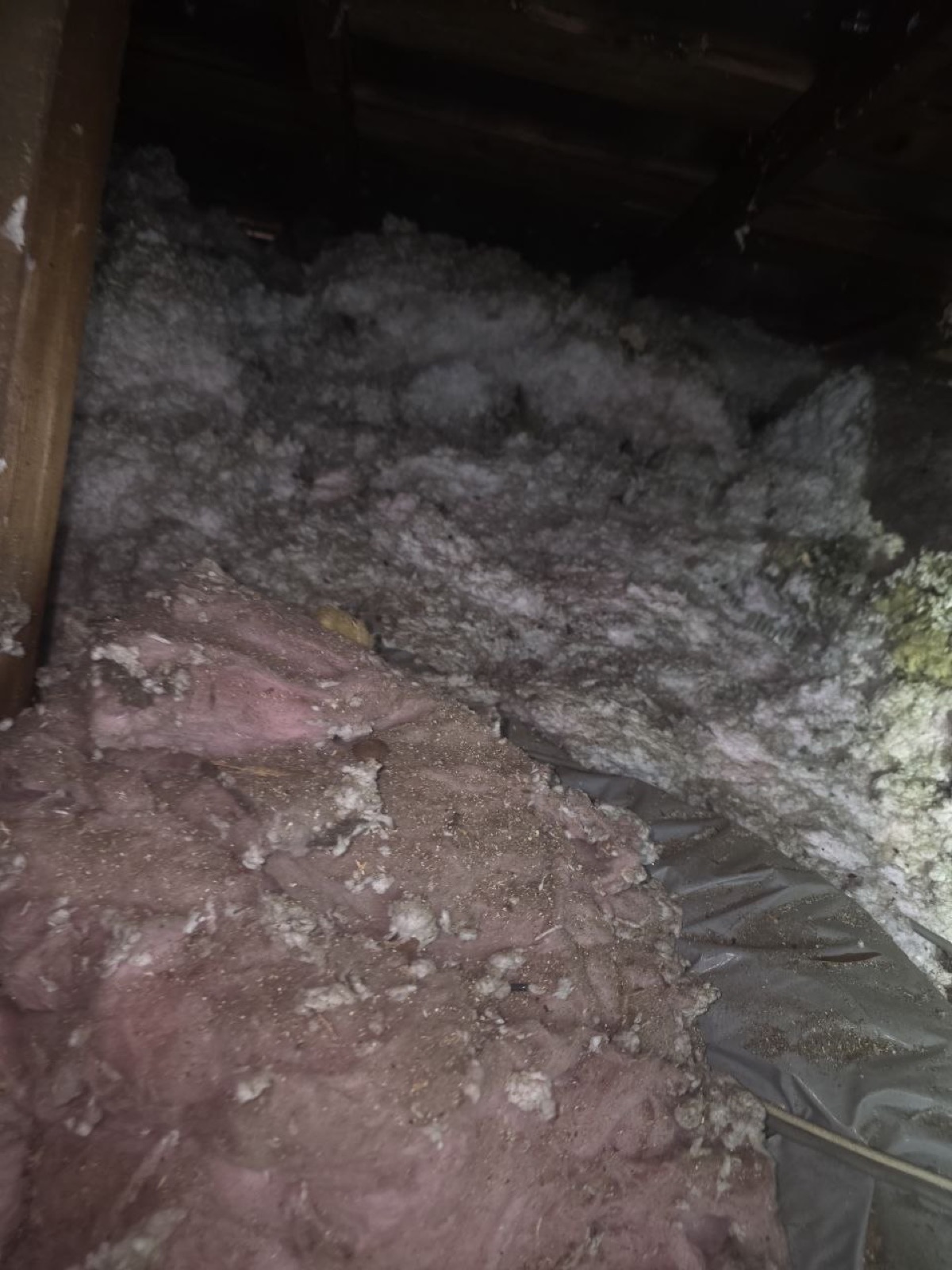 Early stage of the Milpitas attic and crawl space job — clearing out