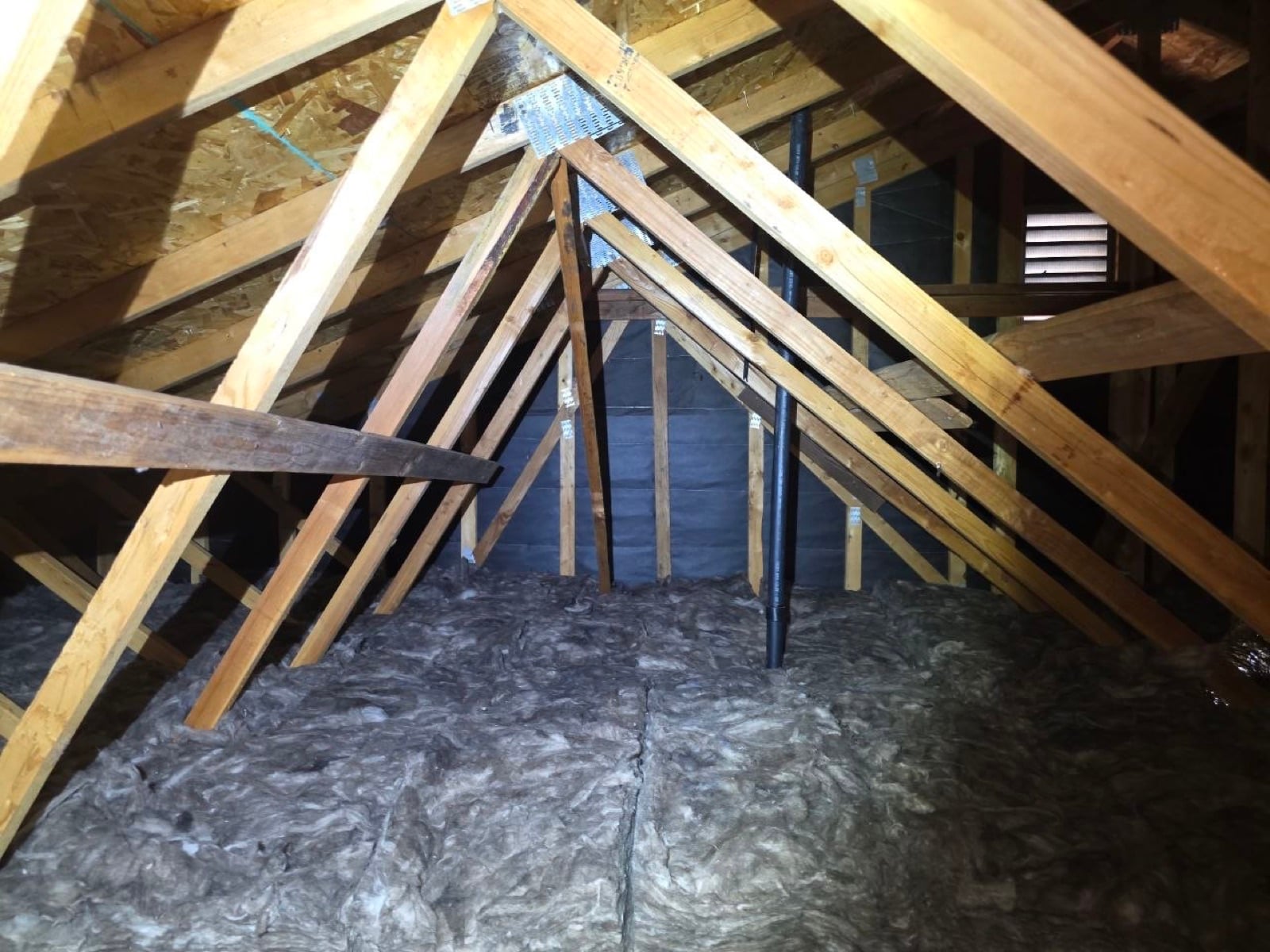 Tracy attic during sealing and rodent proofing