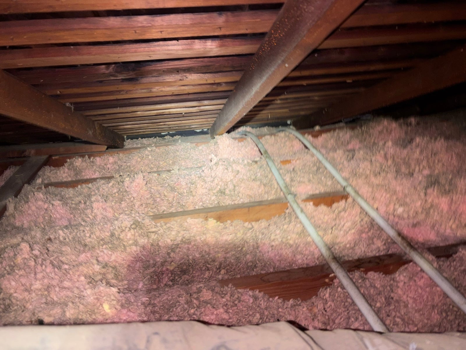 Attic Insulation Removal, Cleanup and Rodent Proofing in Garden Grove, CA