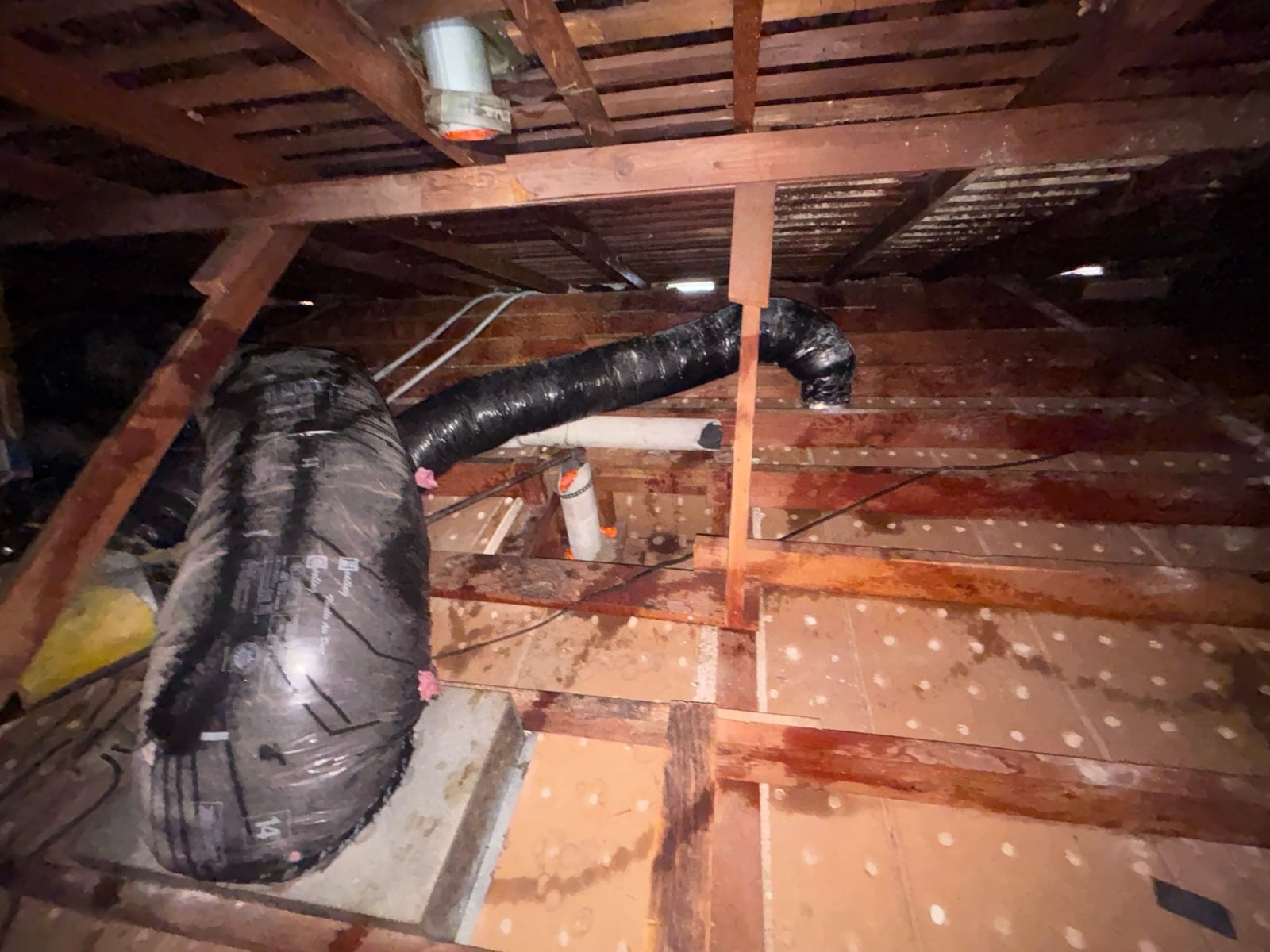 Garden Grove attic stripped back to the deck