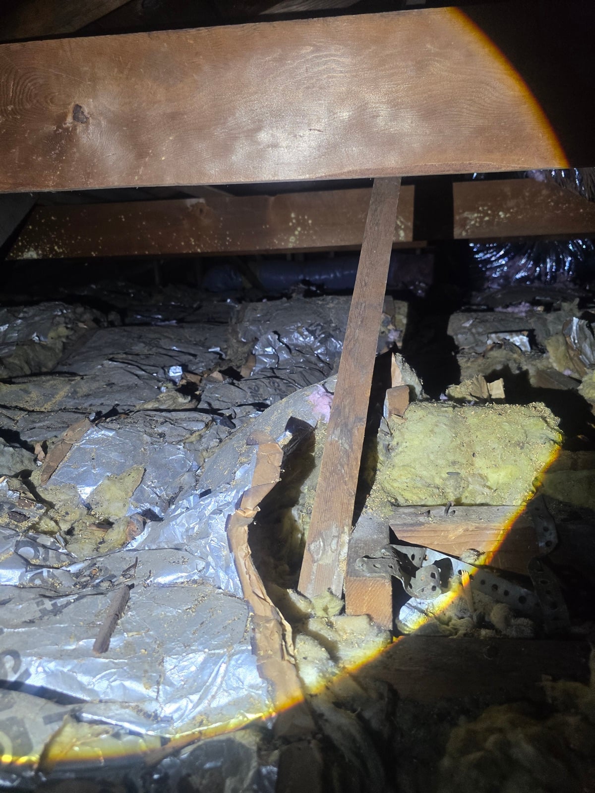 Duarte attic before work began, showing the condition the crew found