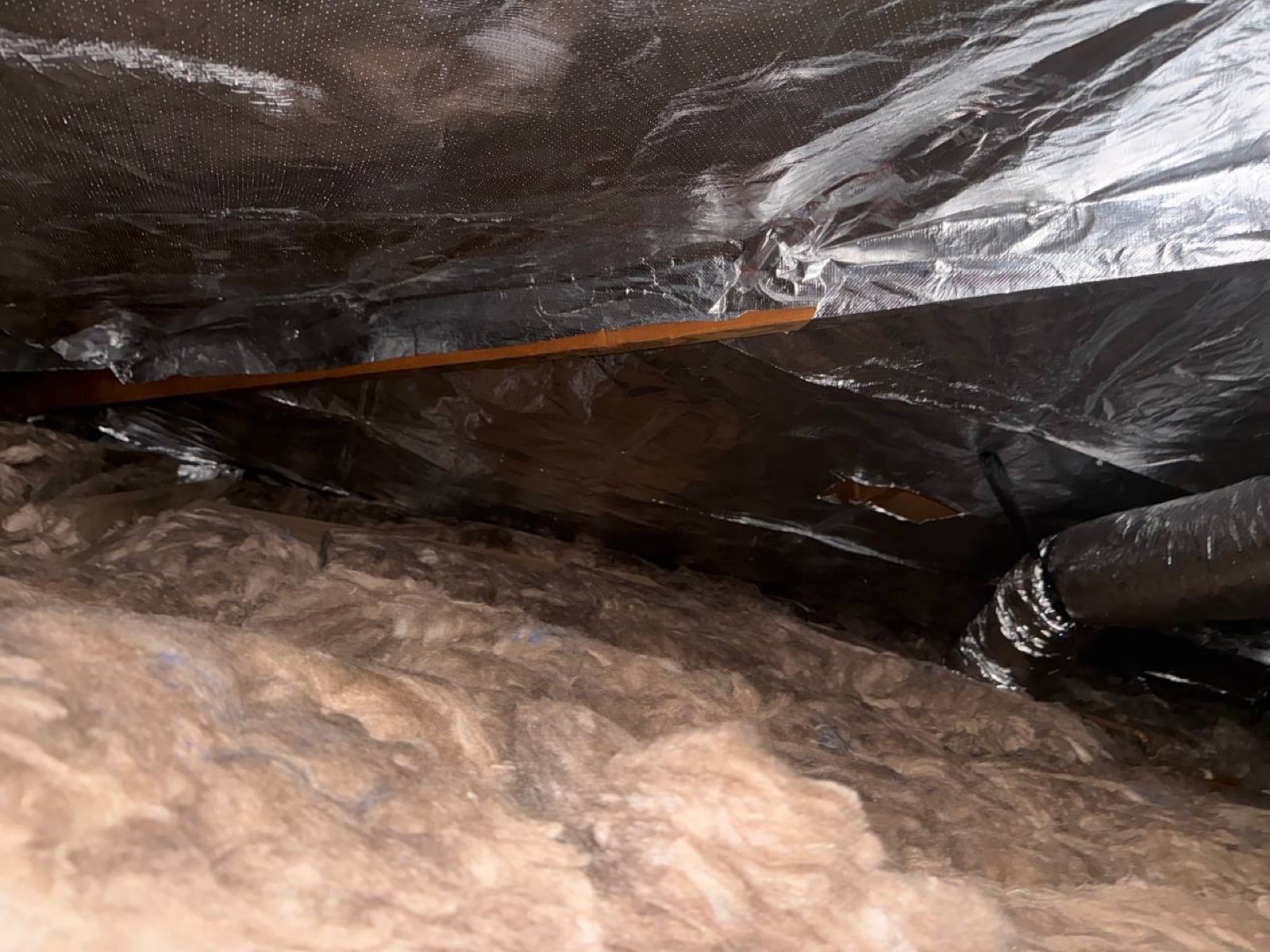 San Jose attic during sealing and rodent proofing