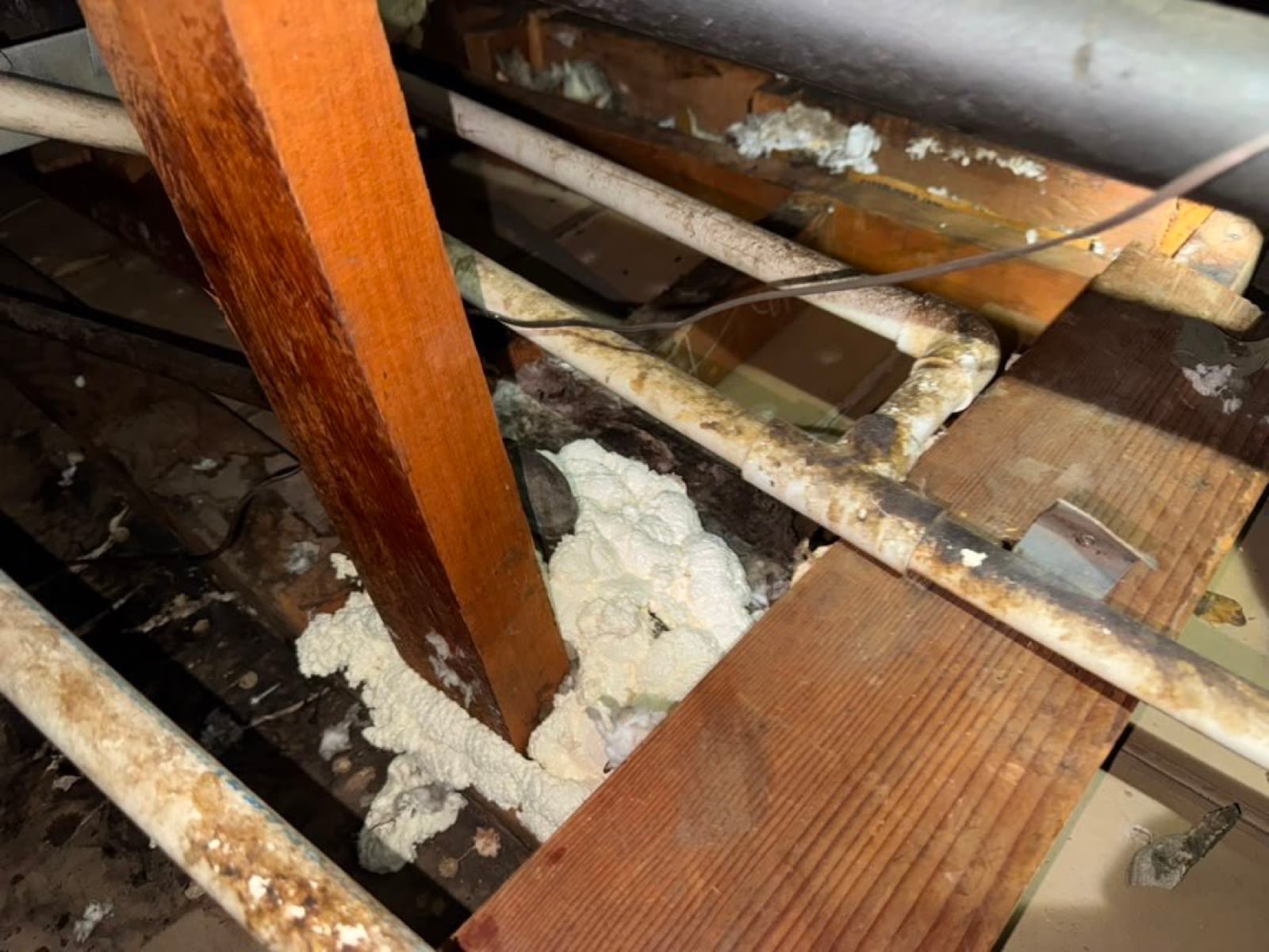 Early stage of the Burbank attic job — clearing out