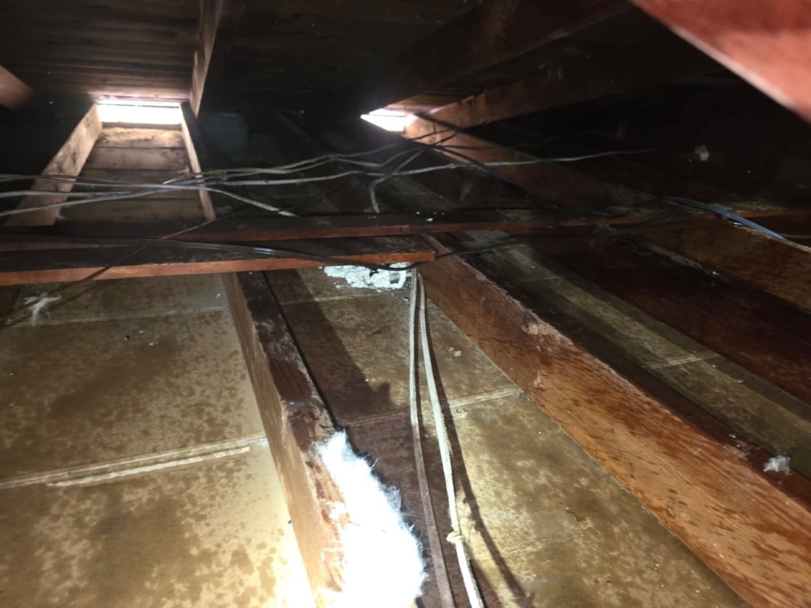 Lakewood attic before work began, showing the condition the crew found