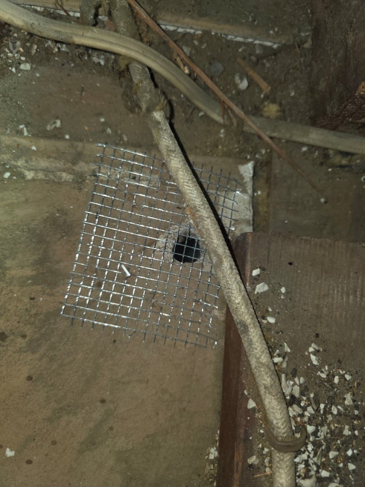 Early stage of the Lakewood attic job — clearing out