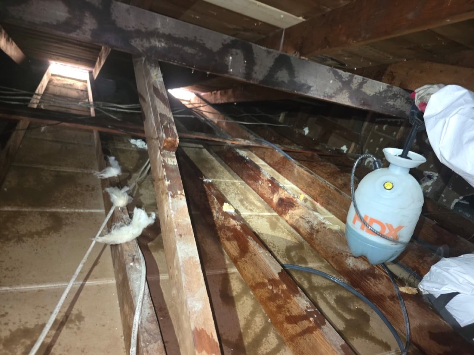 Lakewood attic during sealing and rodent proofing