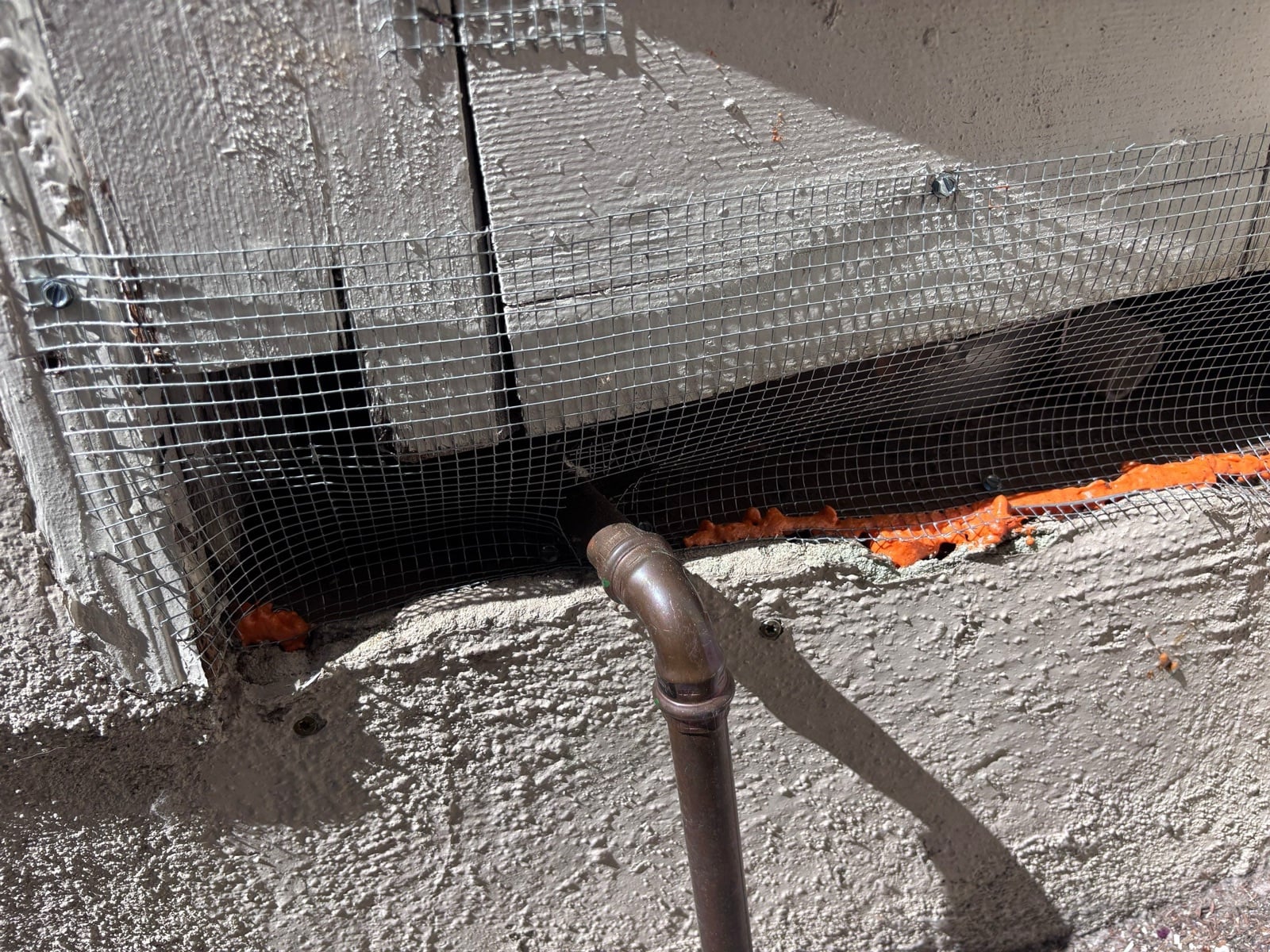 Los Angeles attic during sealing and rodent proofing