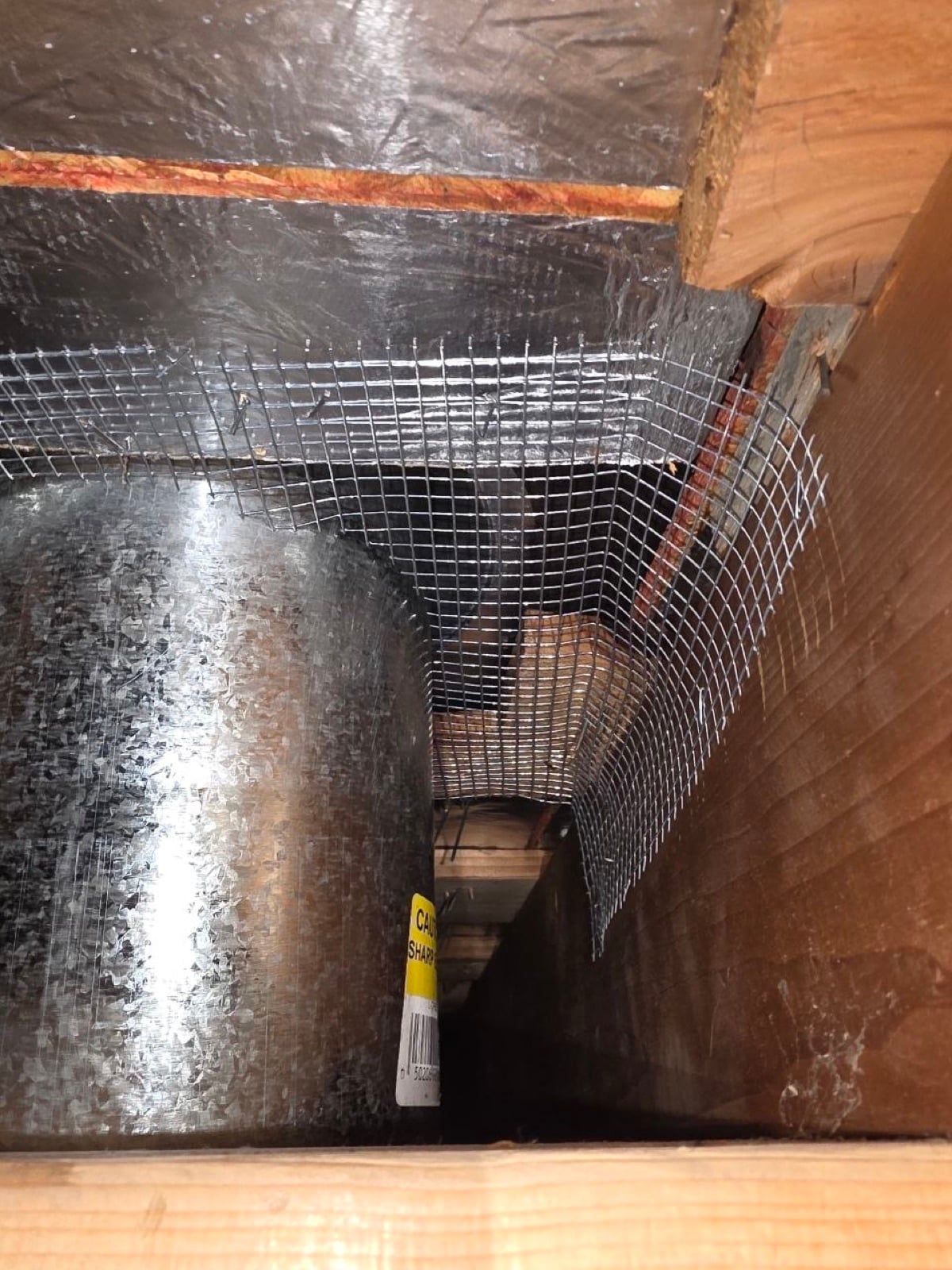 San Jose attic during sealing and rodent proofing