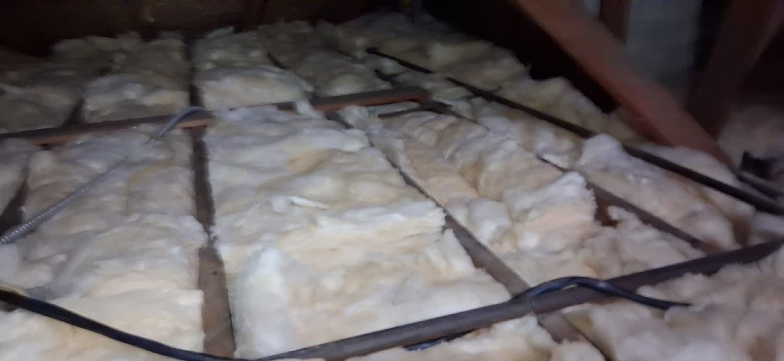 Attic Insulation Replacement and Cleanup in Los Angeles, CA