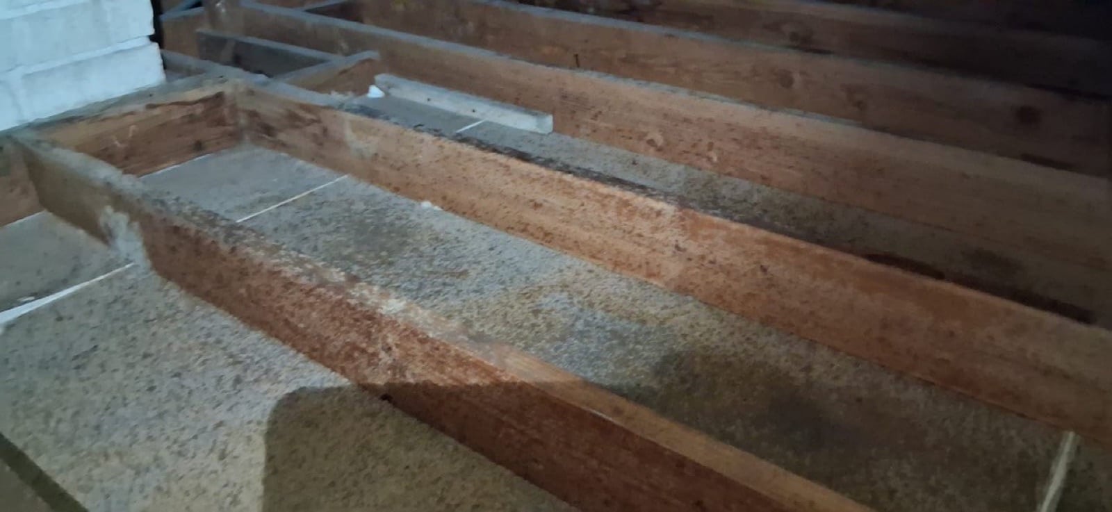 Los Angeles attic during sealing and rodent proofing