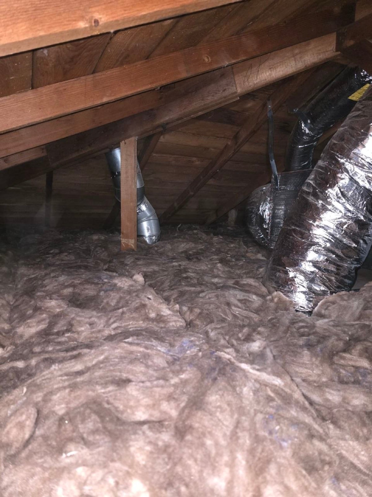 San Mateo attic during sealing and rodent proofing