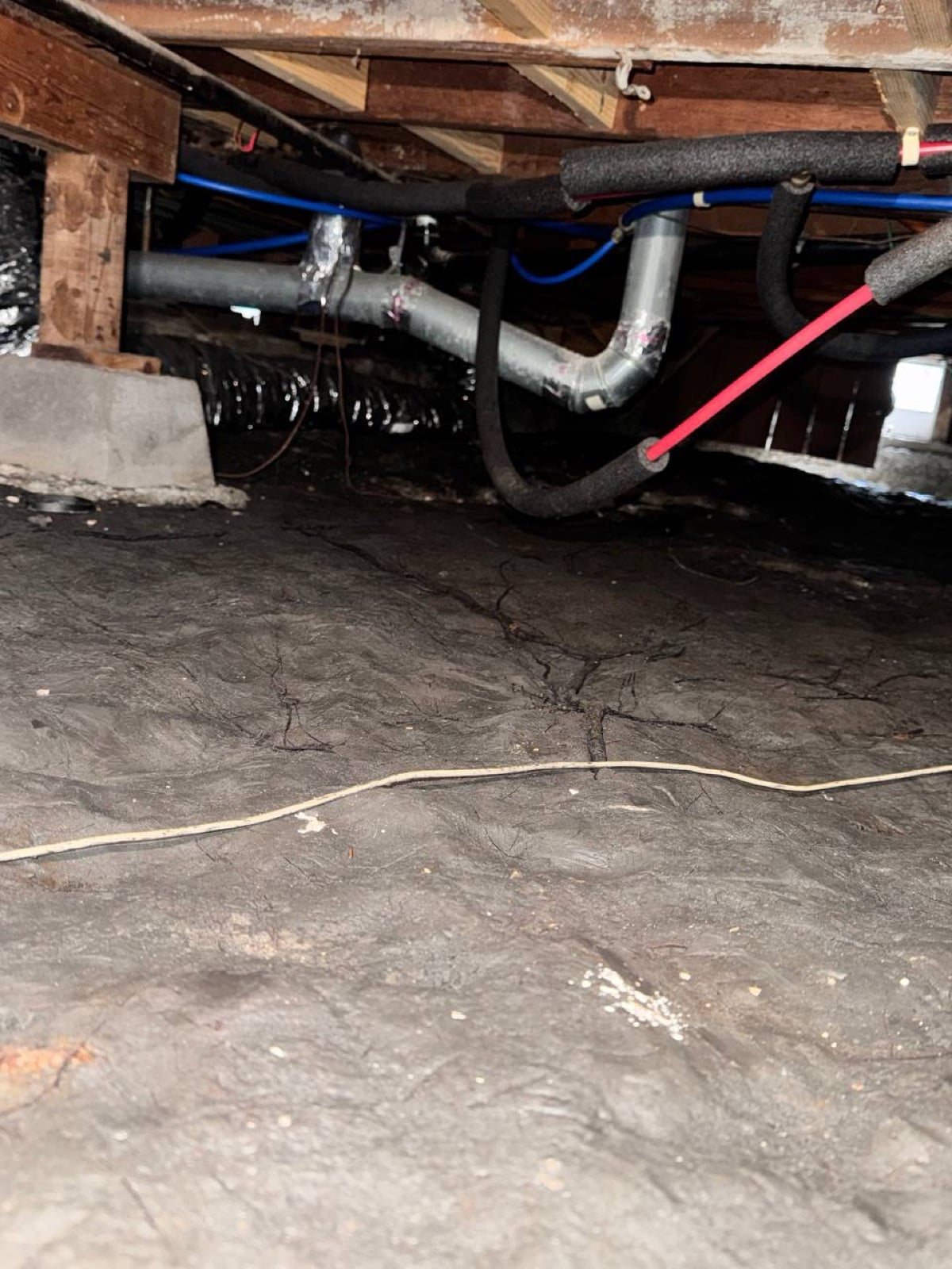 Completed Richmond attic and crawl space