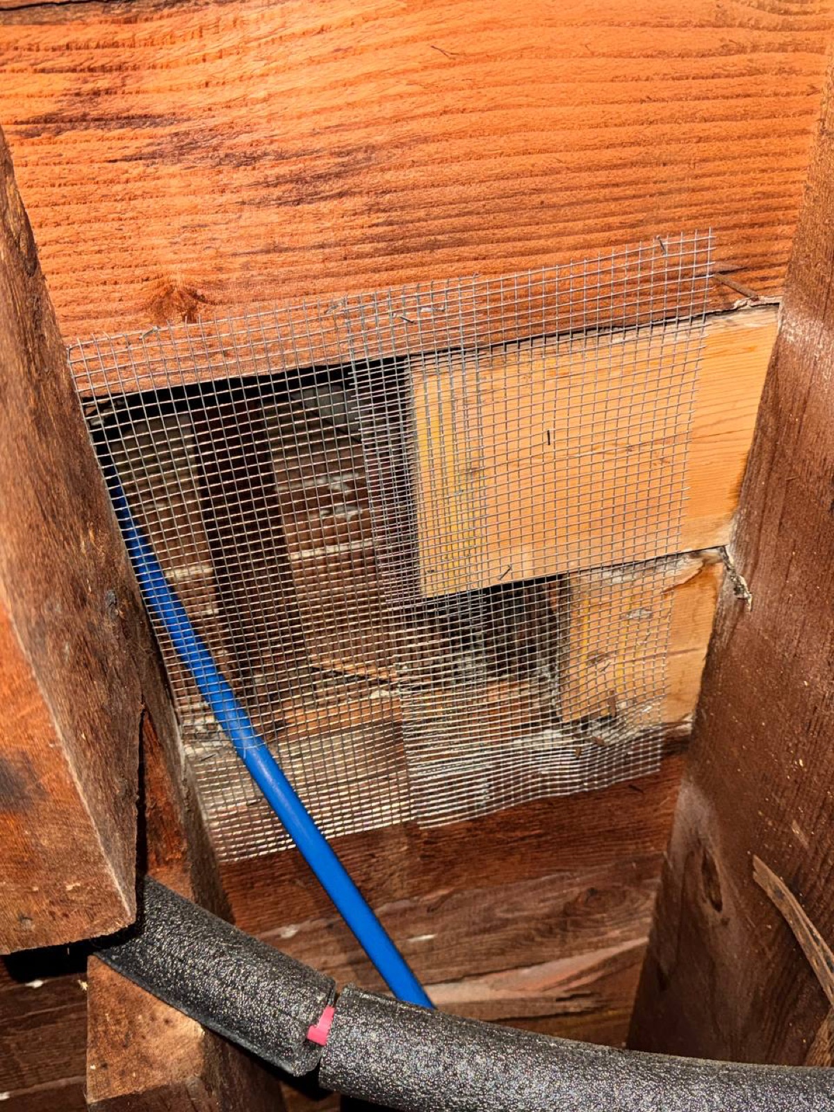 Completed Richmond attic and crawl space