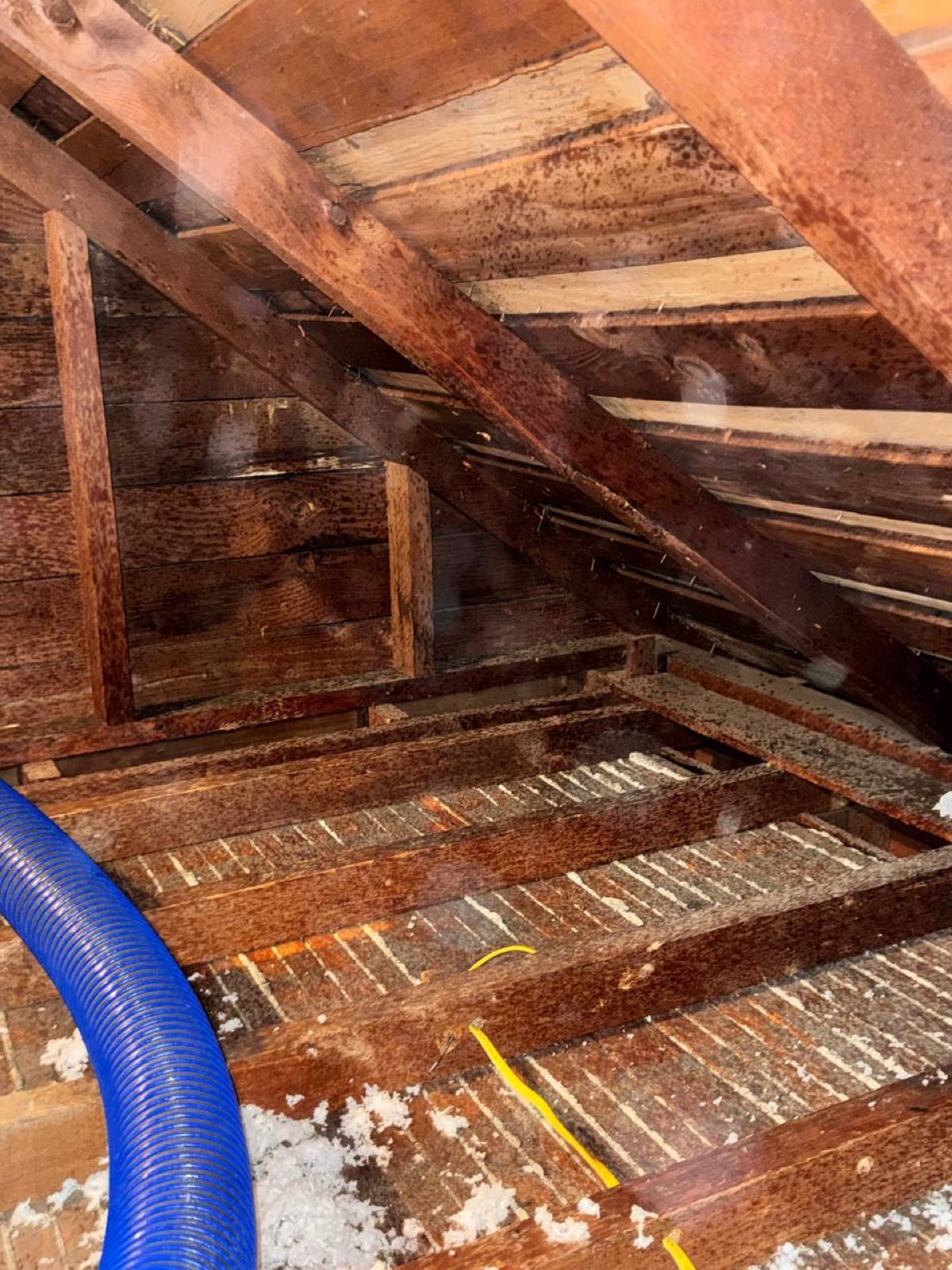 Early stage of the Richmond attic and crawl space job — clearing out