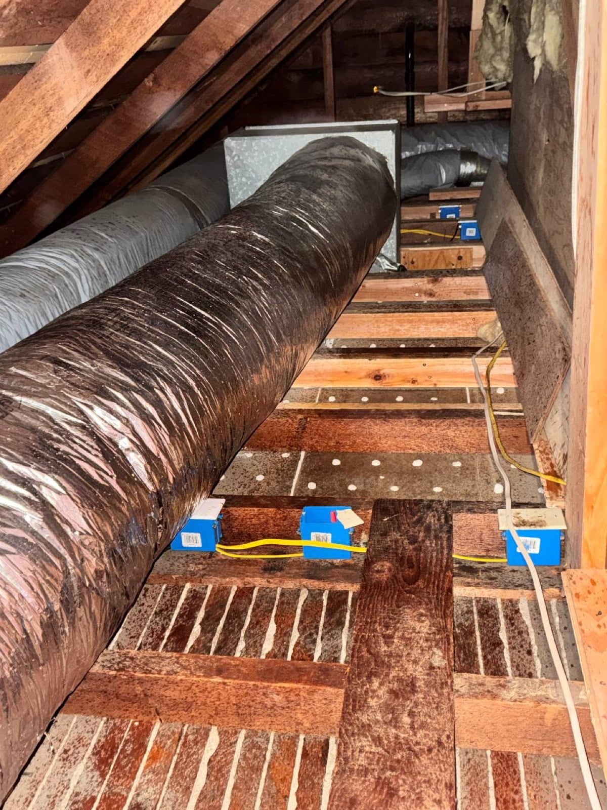 Richmond attic and crawl space during sealing and rodent proofing